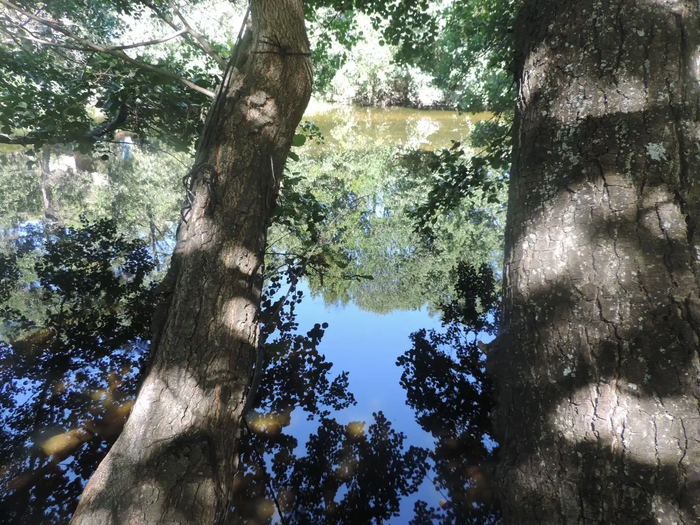 Exterior view of Land for sale in Burgohondo