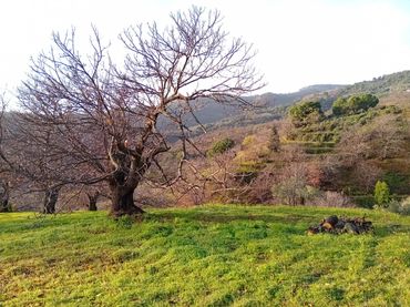 Terreno rustico in vendita a Yunquera
