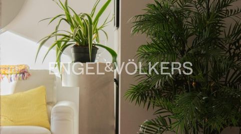 Foto 5 de Àtic de lloguer a Carrer de Zamora, Torrefiel, Valencia Capital