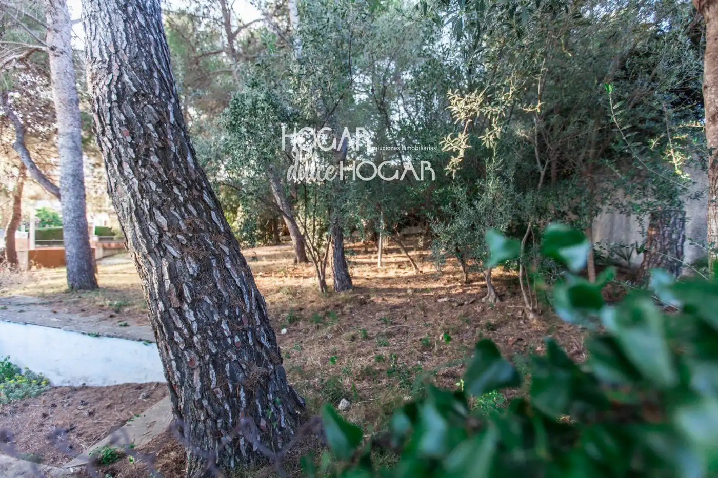 Terreno rustico in vendita a Mèxic, imagen 9