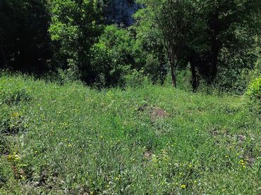 Terrenys i solars en venda a Gelida