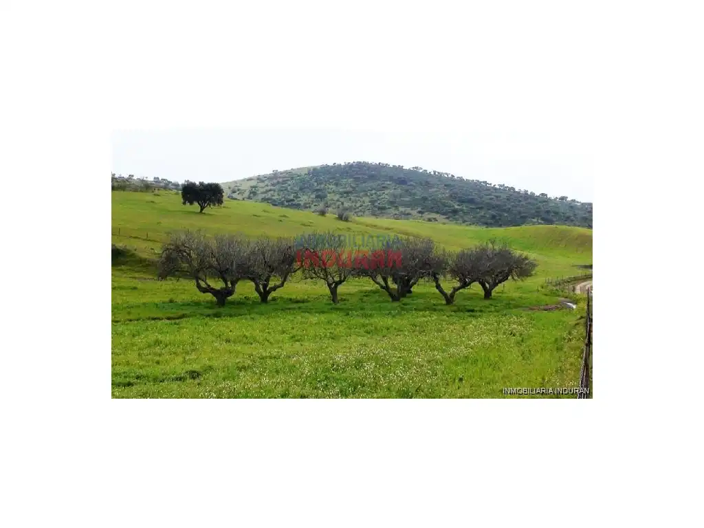 Casa o chalet en venta en Montemolín