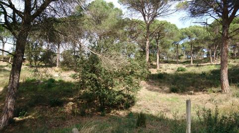 Foto 4 de Terreno industrial en venta en Vilanova del Vallès, Barcelona