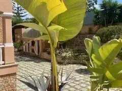 Chalet con jardín en venta en Carrer d'Azorin 3, imagen 8