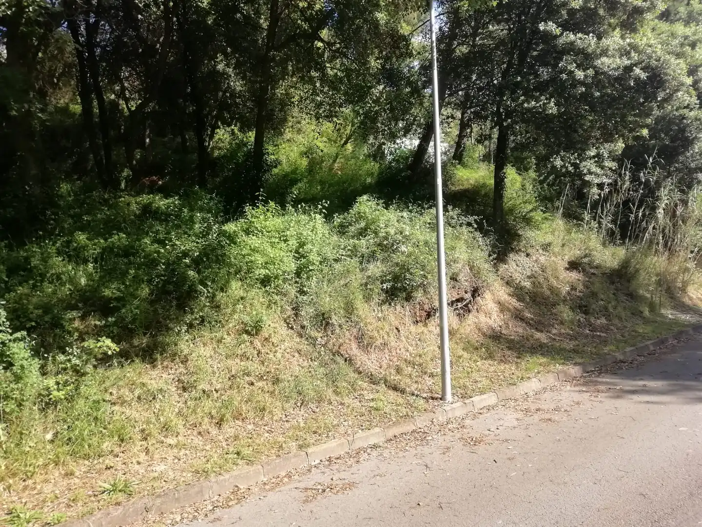 Residential land for sale in Sant Pere de Vilamajor, imagen 4