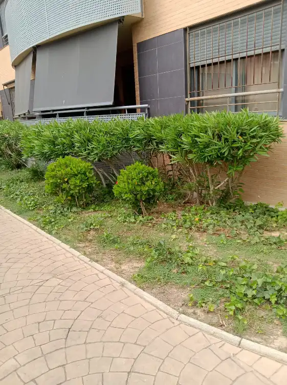 Pis amb terrassa en venda a Santa Pola ciudad, imagen 2