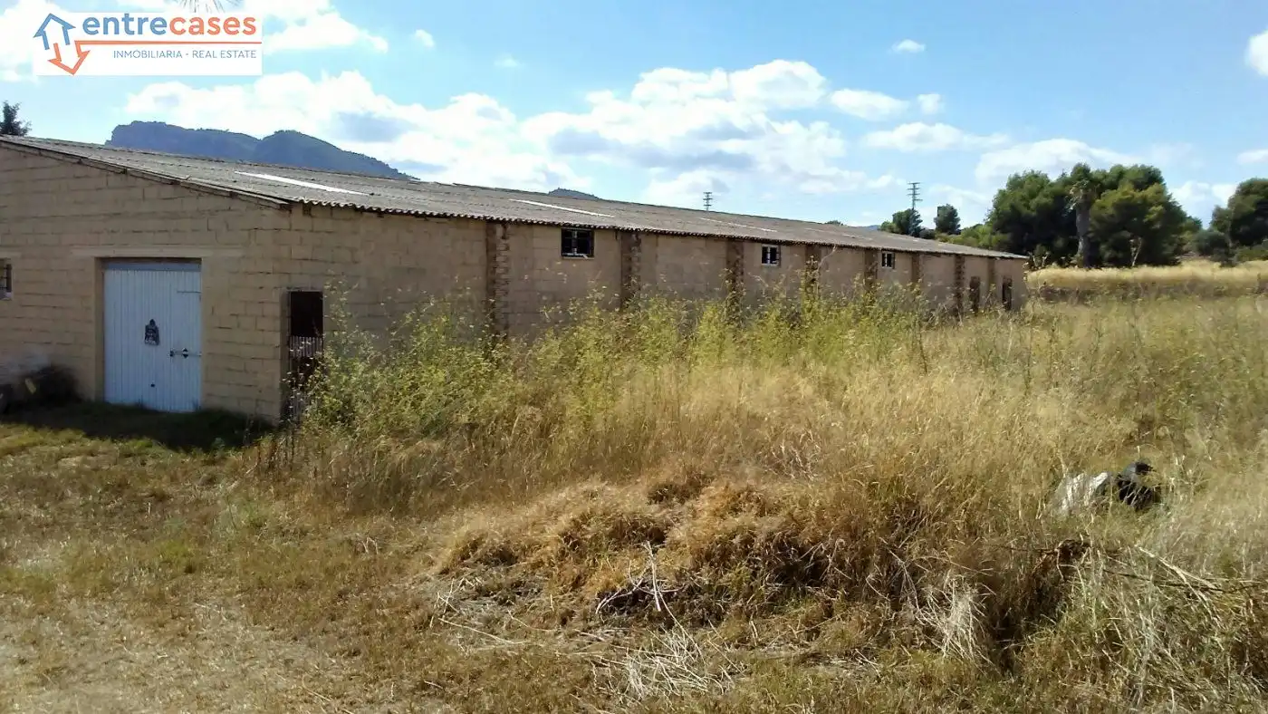 Rural land for sale in Albalat dels Tarongers, imagen 26