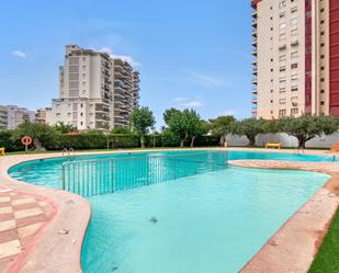 Swimming pool of Attic to rent in Gandia  with Air Conditioner, Terrace and Balcony