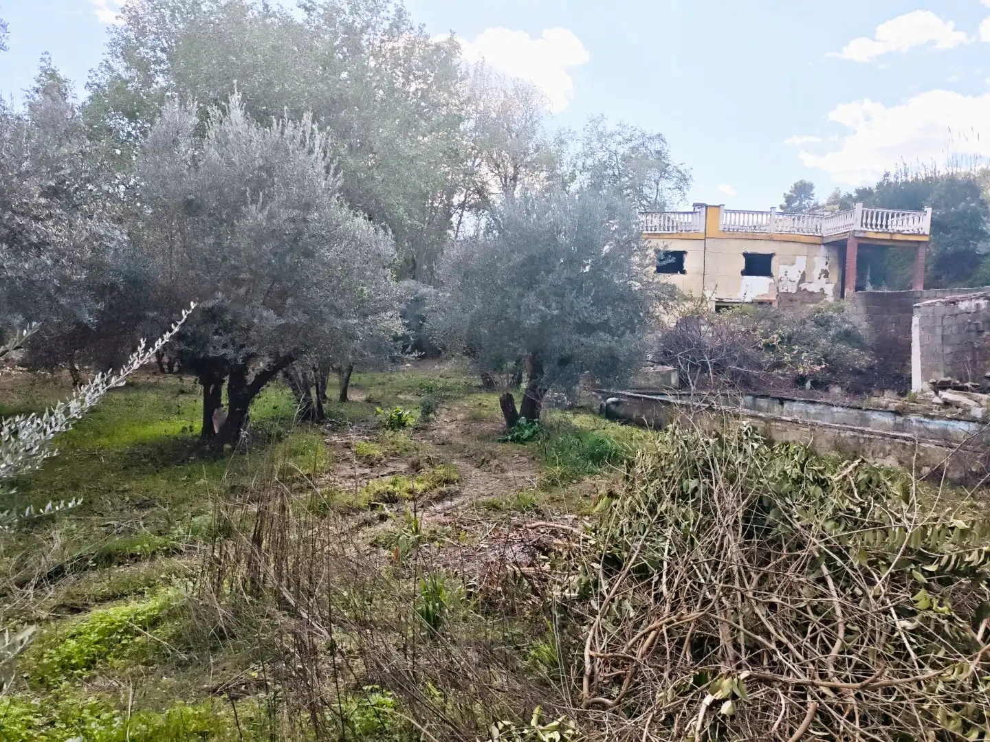 Grundstücke zum Verkauf in Jaén