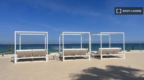 Photo 4 of Apartment to share in Cabo de las Huertas, Alicante / Alacant