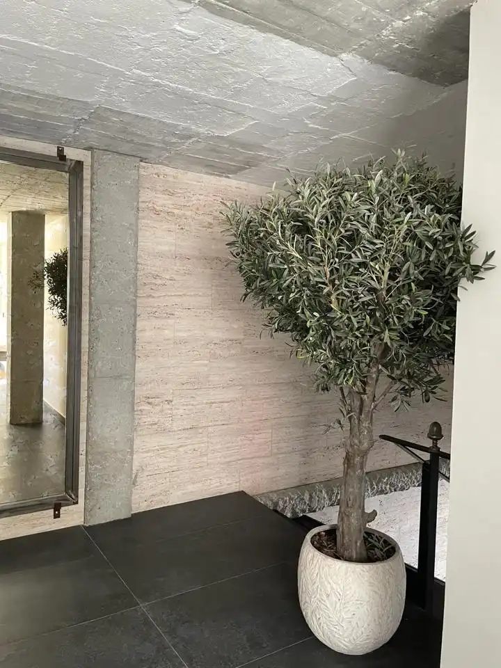 Flat for sale in Ricardo Soriano, imagen 19