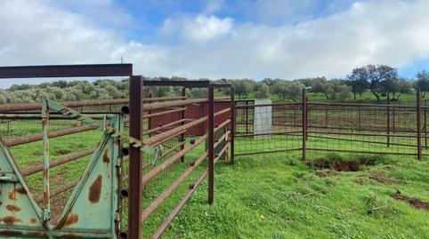Foto 2 de Terreno en venta en Carretera Alconchel, 10, Olivenza, Badajoz