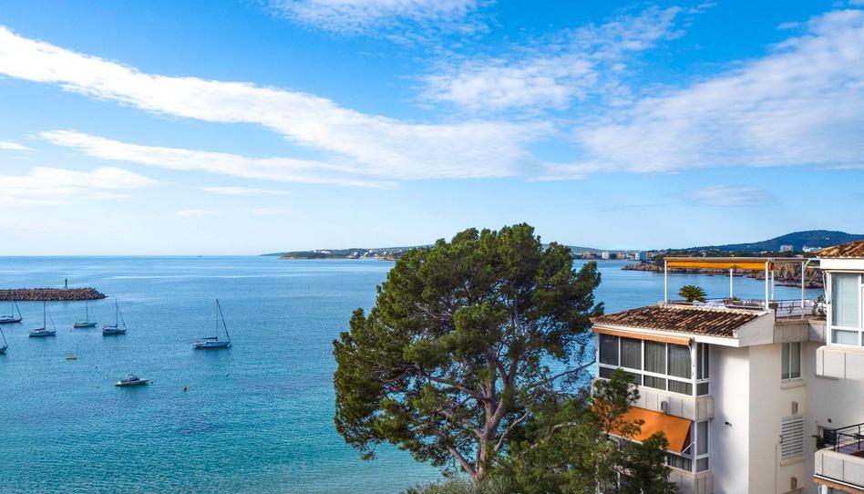 Photo 1 of Apartment to rent in Portals Nous, Illes Balears