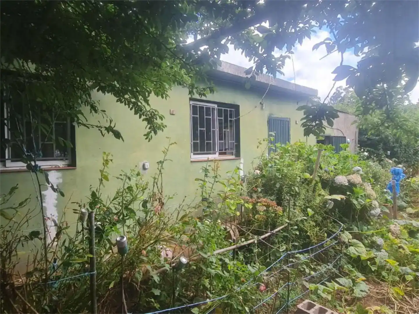 Finca rústica en venda en El Sauzal