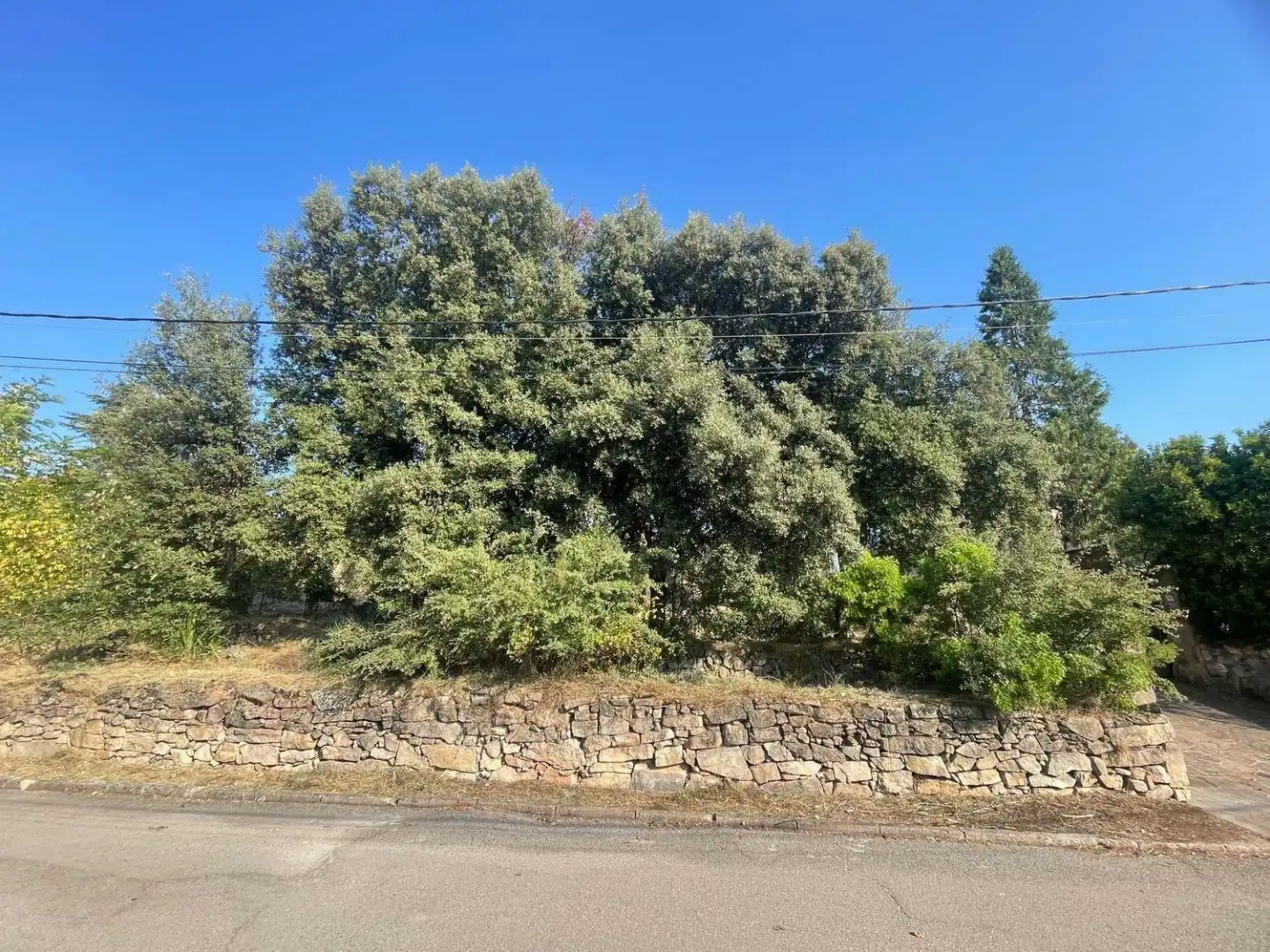 Residential land for sale in dels Avets 36, imagen 14