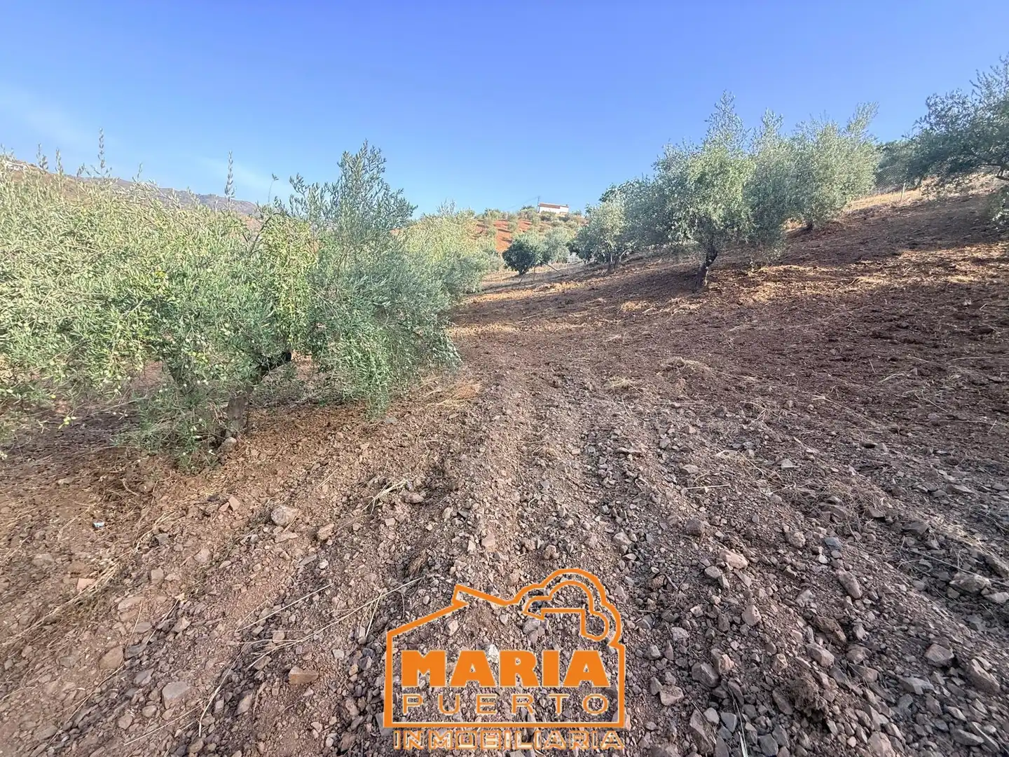 Terreno rustico in vendita a Almogía, imagen 8
