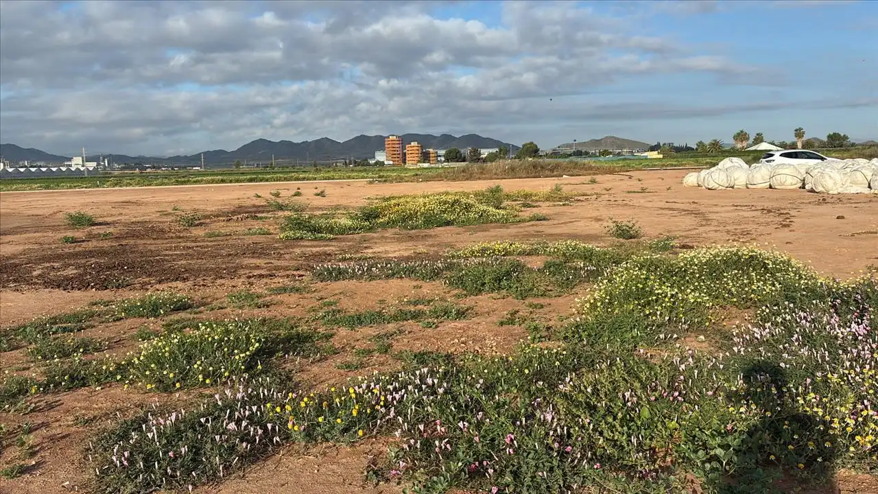 Residencial en venda en Murcia