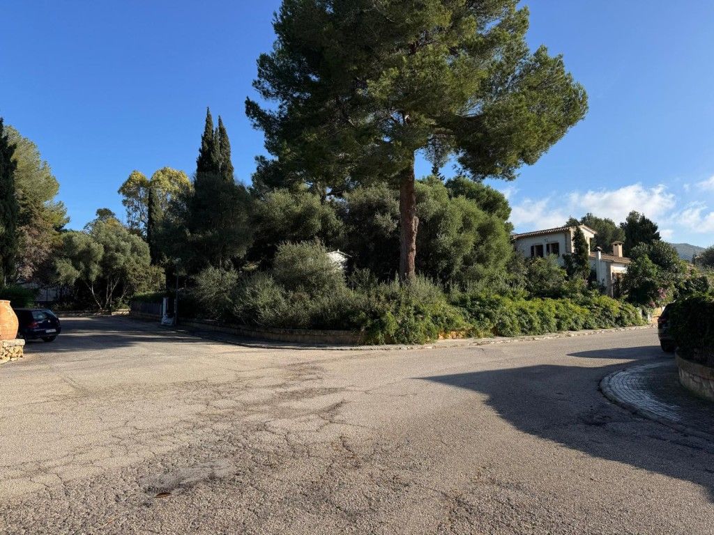 Land for sale in Alcúdia