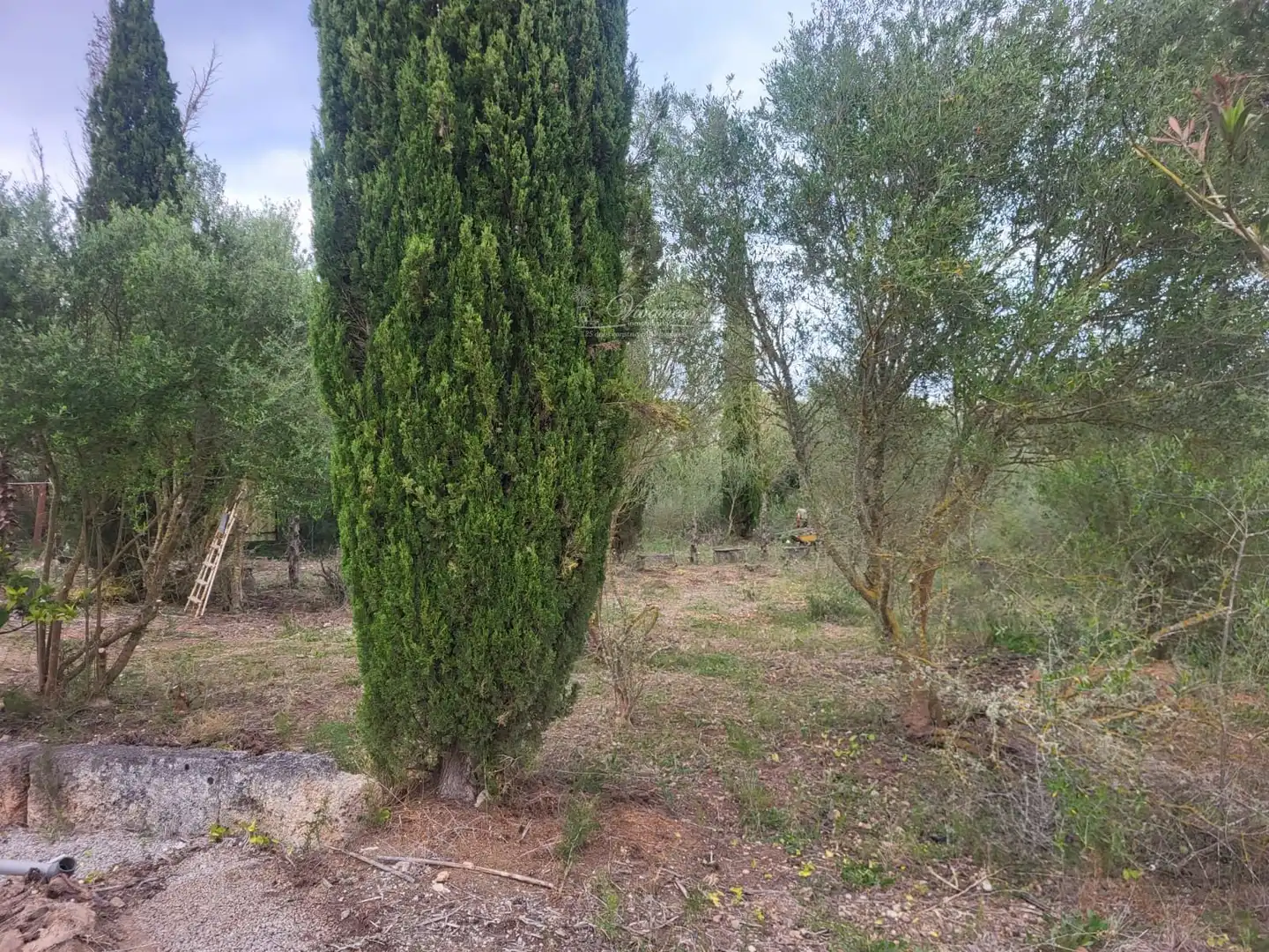 Terreno en venta en Llevant