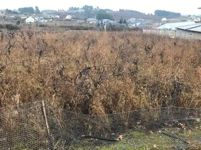 Terreni e lotti in vendita a Cabañas Raras, imagen 5