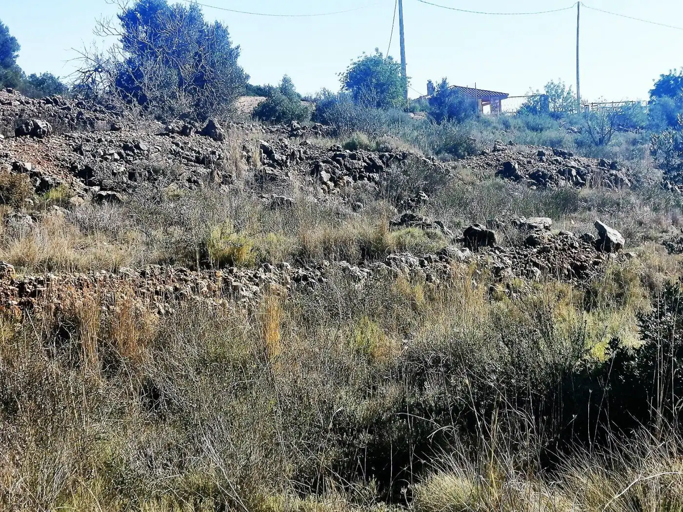 Finca rústica en venda en Chella