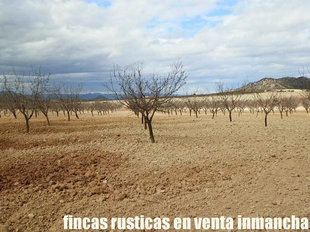 Rustikales Grundstück zum Verkauf in Cieza, imagen 3