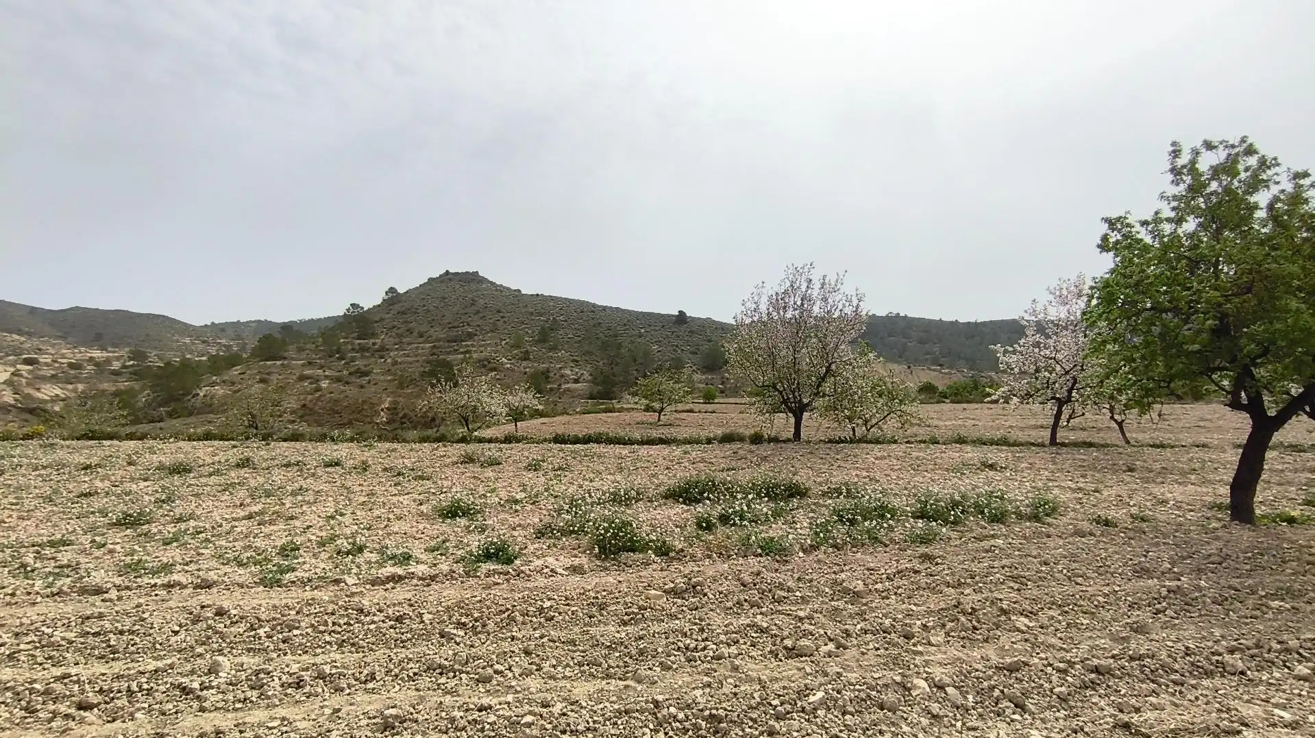 Finca rústica en venta en Aigües con Jardín privado
