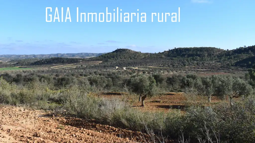 Terreni e lotti in vendita a Maella, imagen 14