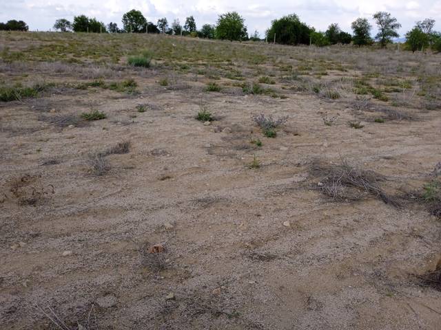 Terreno en Venta en Almonacid de Toledo