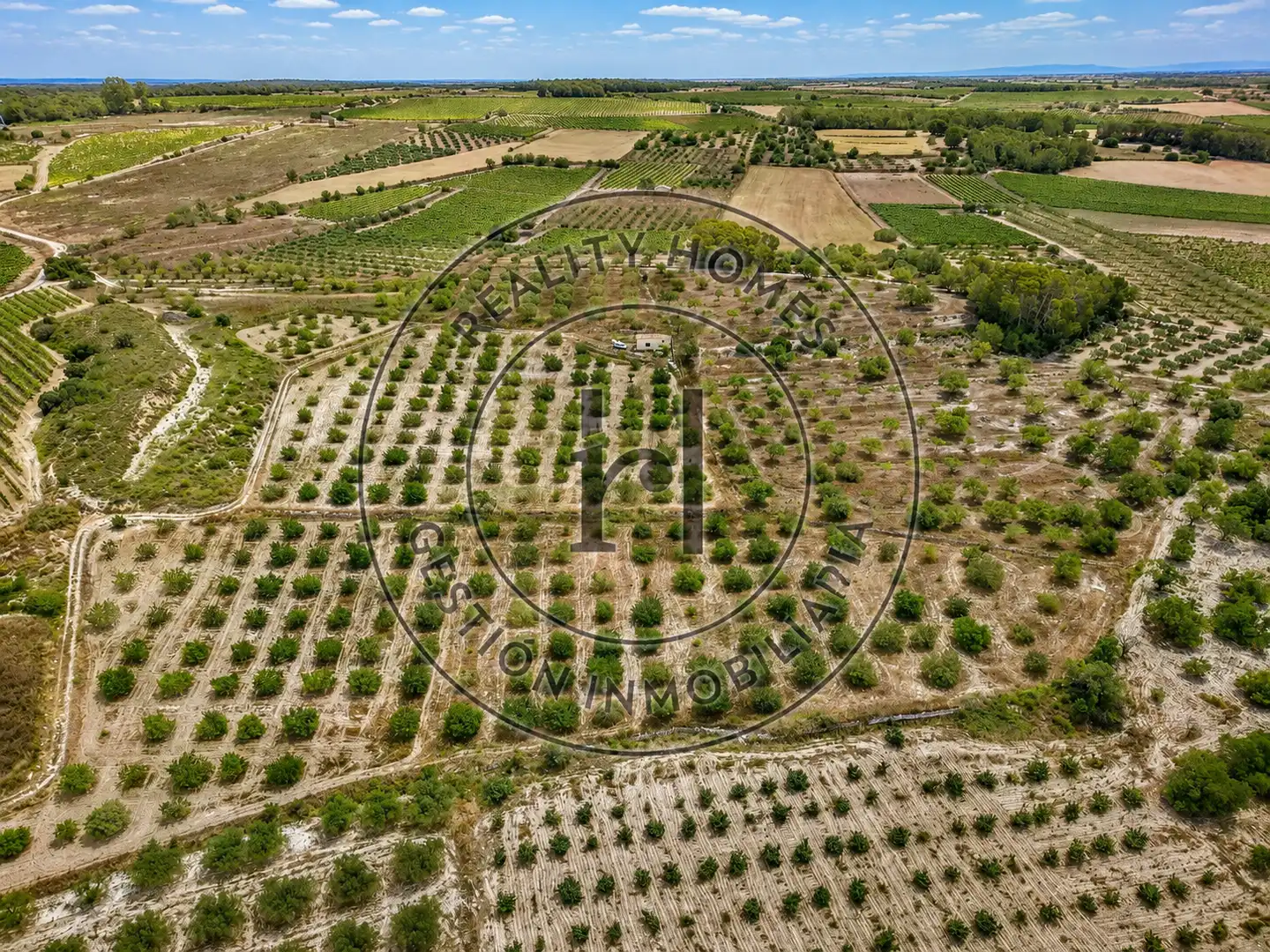 Land for sale in La Secuita