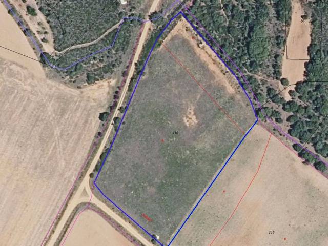 Terreno en Venta en Calle la Vereda, 1 en Brime de Urz