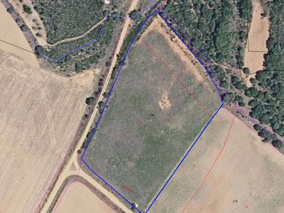Land for sale in Brime de Urz