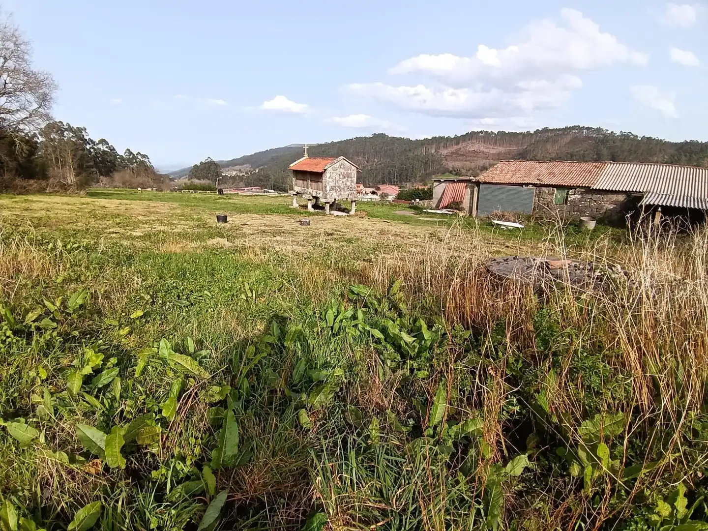 Country homes for sale in Meis
