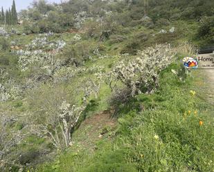 Finca rústica en venda en Vega de San Mateo