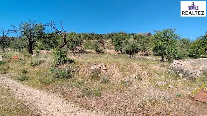 Rural land for sale in Felix, imagen 15