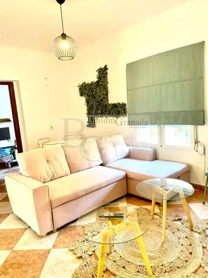Sala de estar de Piso de alquiler en Granada con Terraza, Amueblado y Microondas