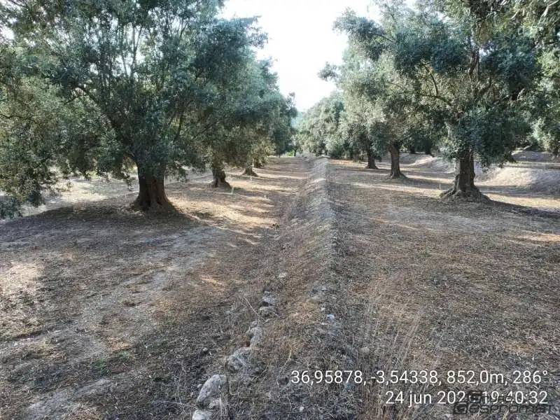 Terreno rustico in vendita a Calle poligono 2, parcela 207,208, Tomillar, Lecrín 0, imagen 17