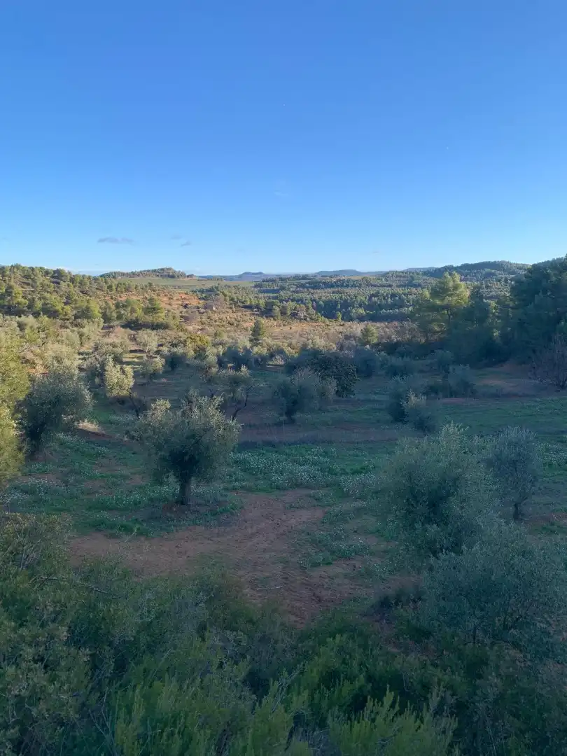 Terreno rustico in vendita a Juncosa, imagen 13