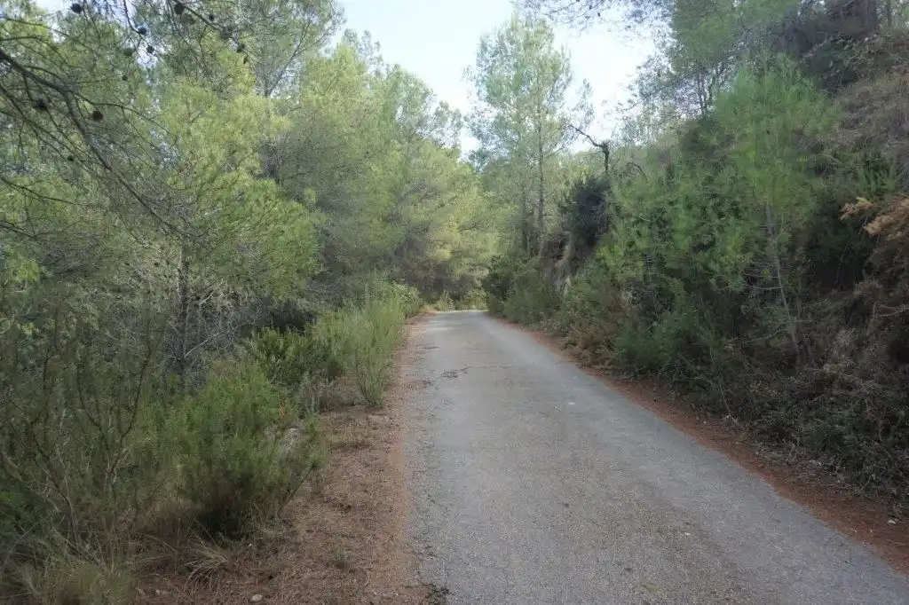 Exterior view of Land for sale in El Castell de Guadalest