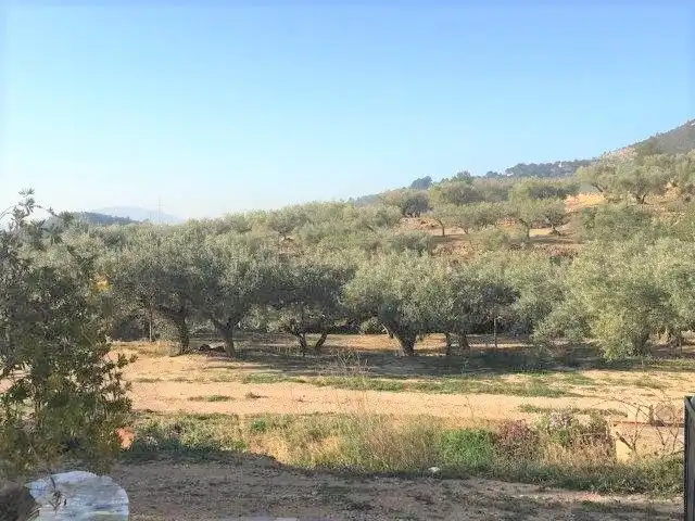 Casa o xalet en venda en Tortosa