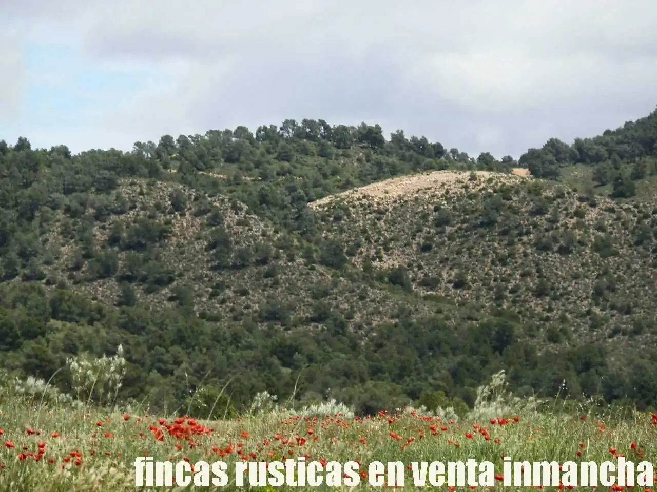 Terreni e lotti in vendita a Elche de la Sierra, imagen 31