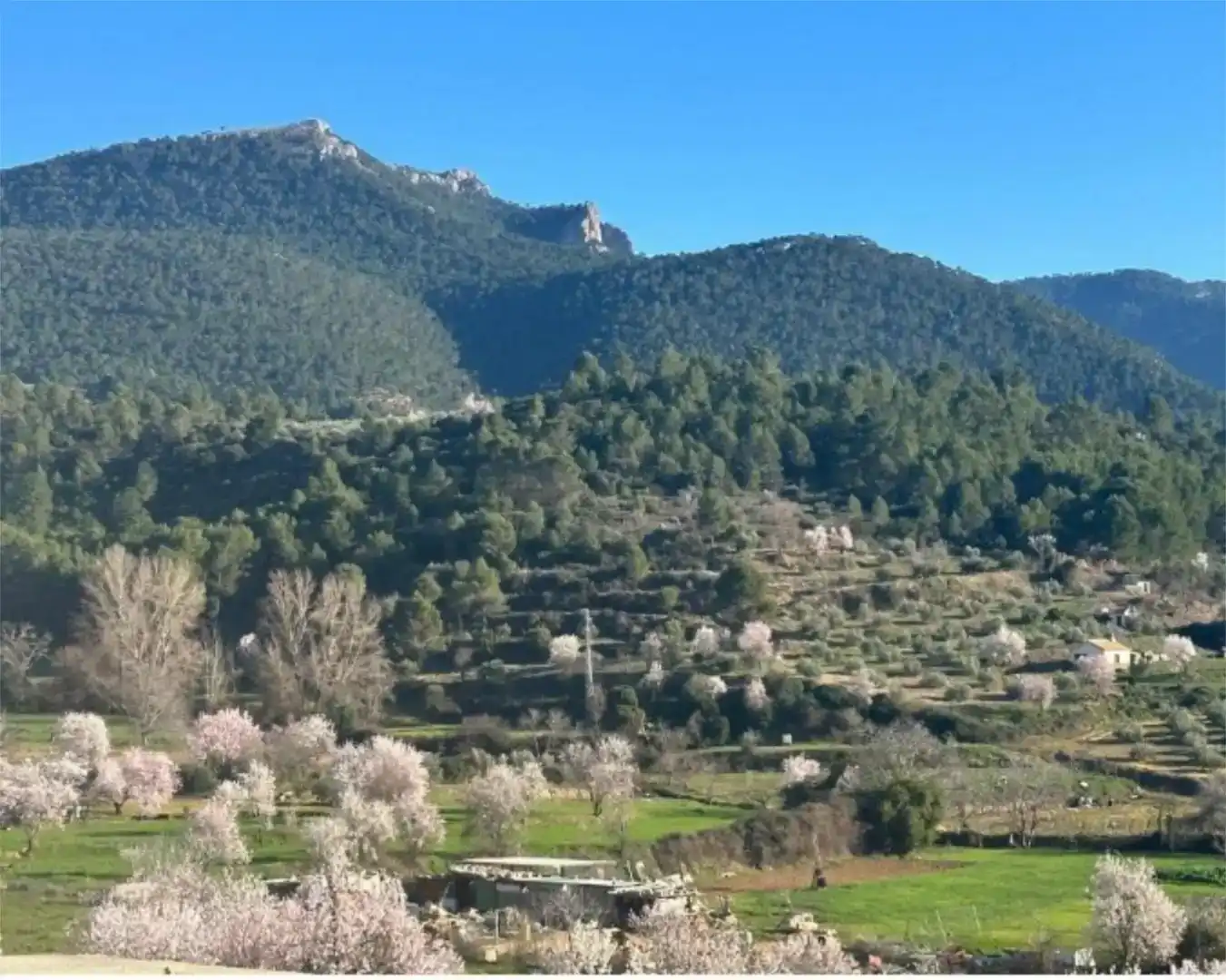Flat for rent in Siles, Jaén