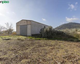 Nau industrial en venda en Albolote