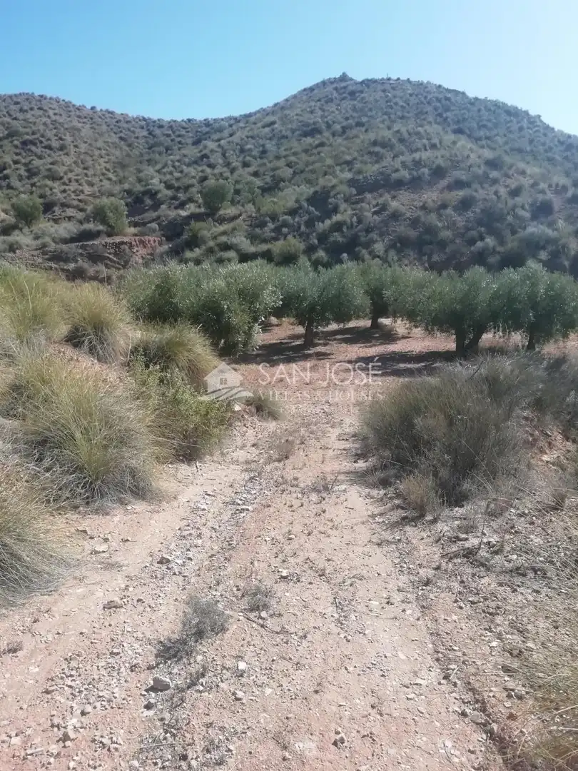 Lands and plots for sale in Abanilla, imagen 23