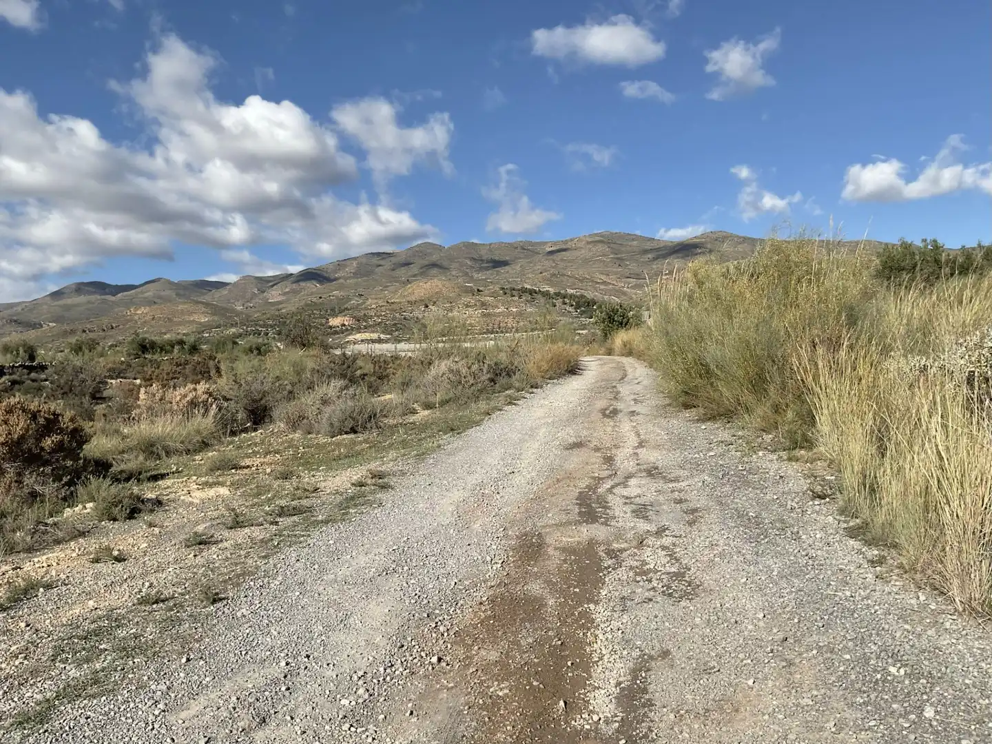 Exterior view of Land for sale in Padules
