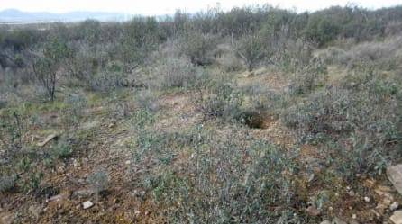 Terreno en Venta en PL/ Polígono en Sevilleja de la Jara