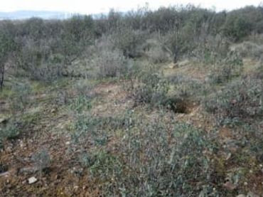 Rural land for sale in PL/ Polígono