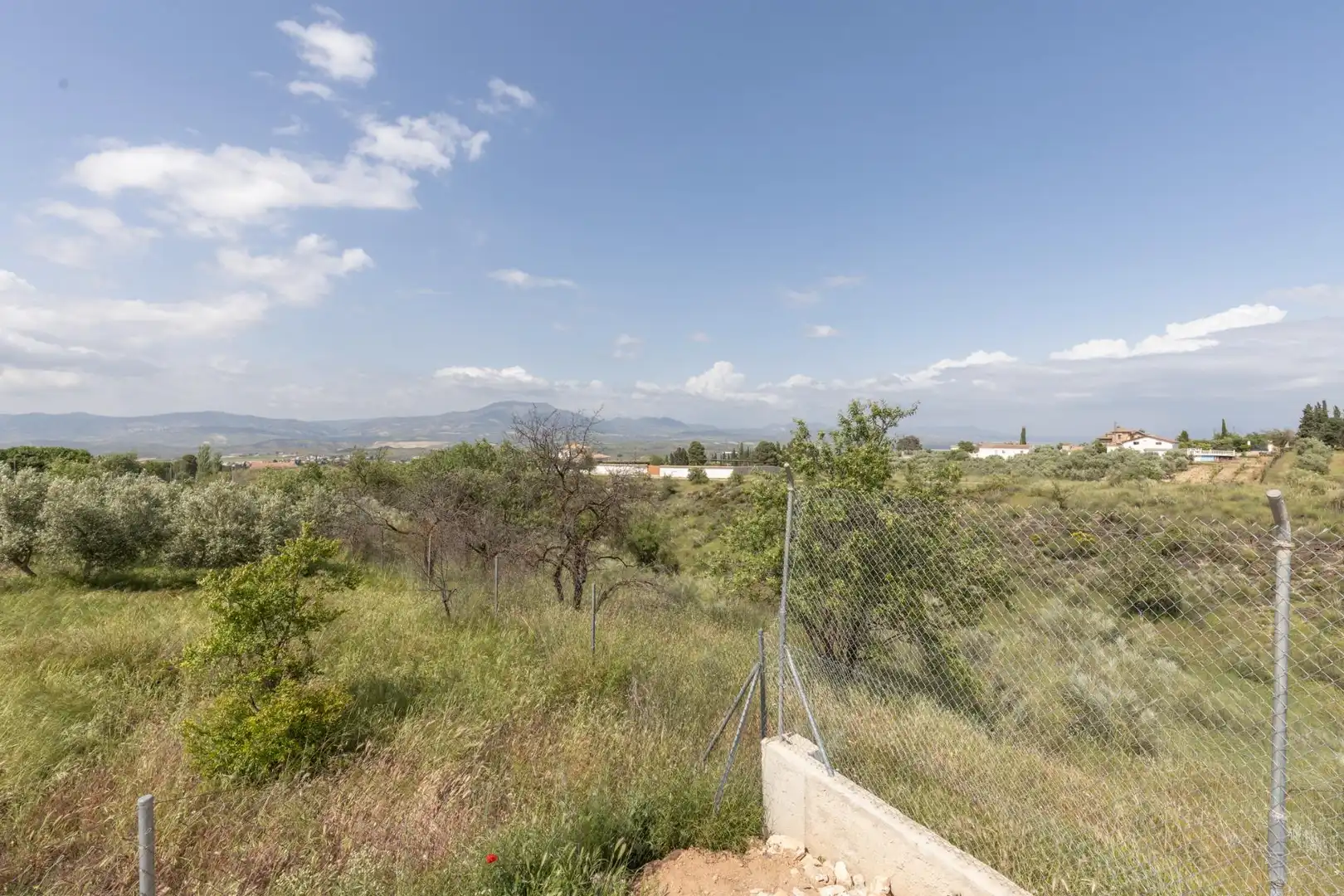 Terreny rústic en venda a Moraleda de Zafayona, imagen 10