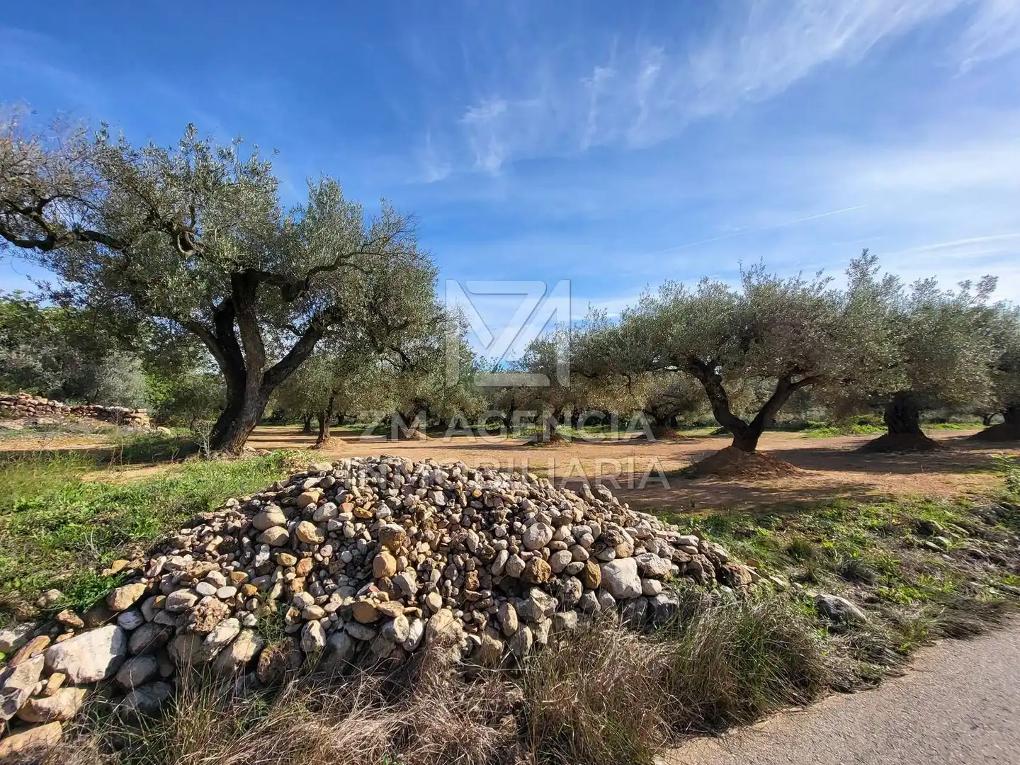 Terreno rustico in vendita a Traiguera, imagen 4