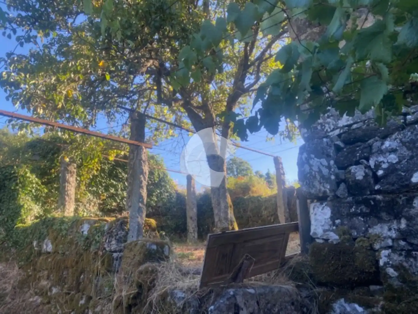 Casa amb jardí en venda a Entrimo, imagen 8